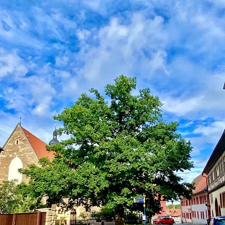 Parkblick 2 Arnstadt
